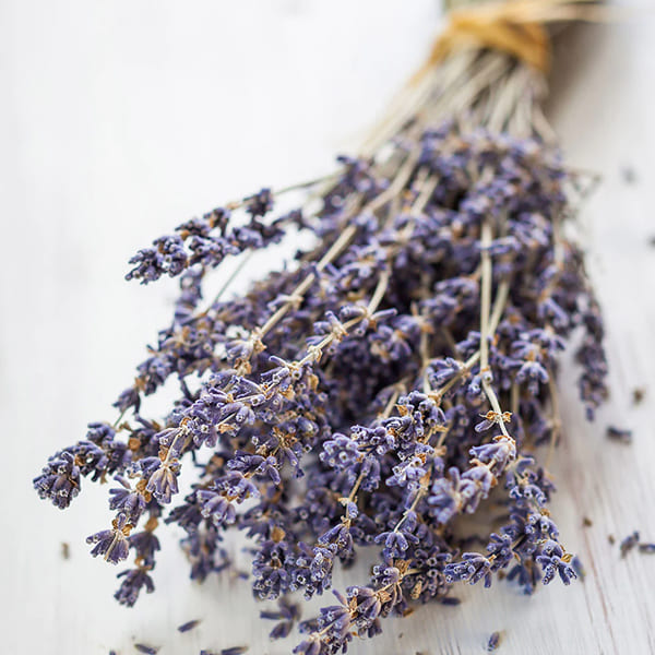 Lavande séchée (100g)