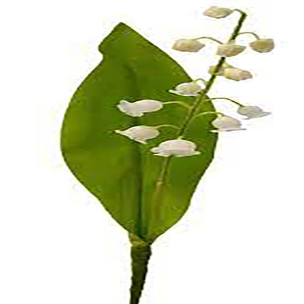 Brin de muguet
